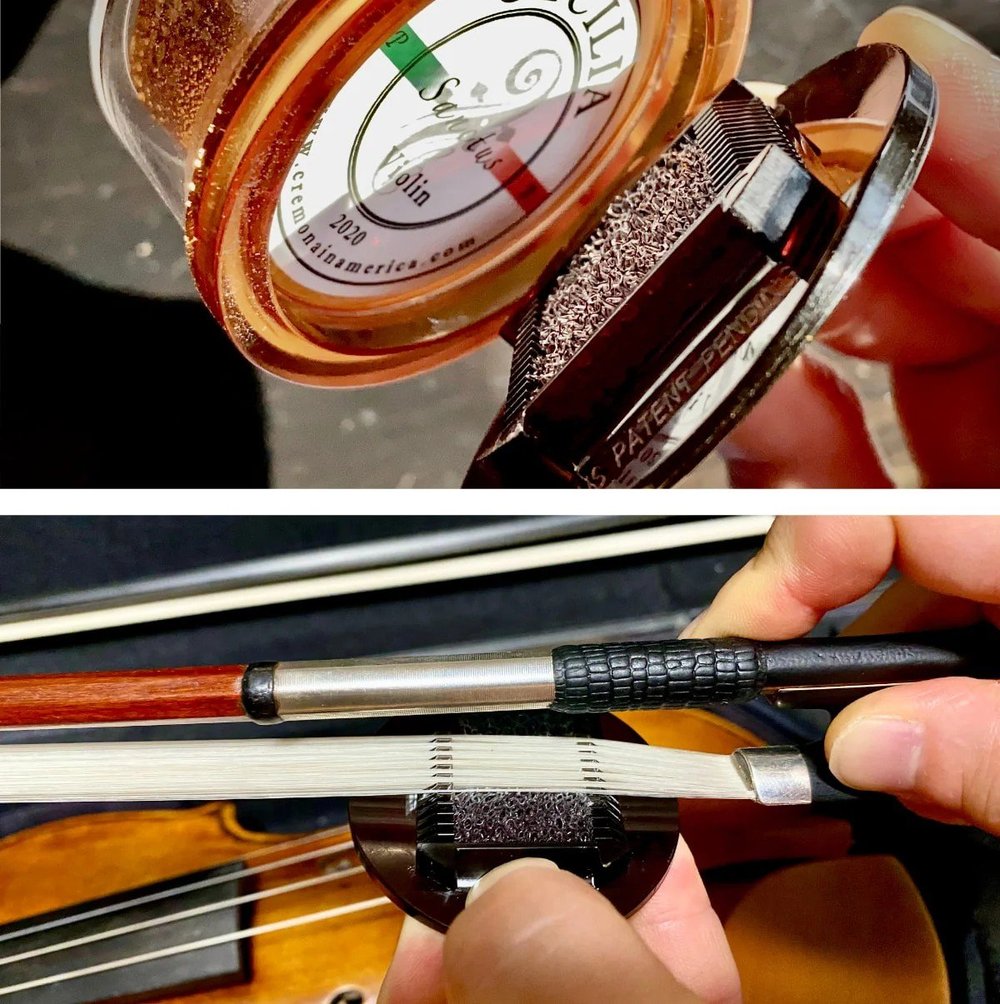 Cecilia Sanctus Rosin — Terra Nova Violins